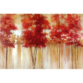 Red Trees - Cuadrostock