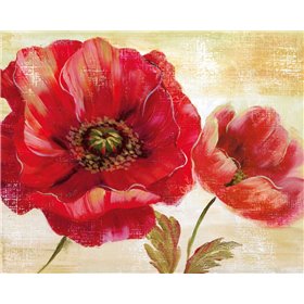 Passion For Poppies I