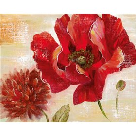 Passion For Poppies II