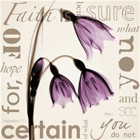 Faith - Violet Tulips
