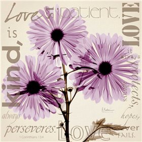 Cuadro para dormitorio - Love - Violet Chrysanthemum - Cuadrostock