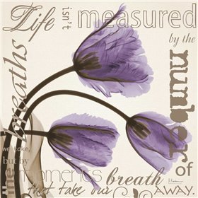 life Tulips