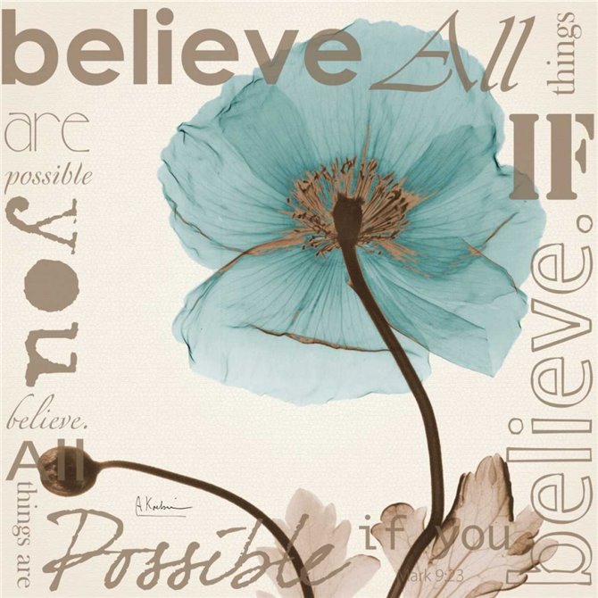 Believe - Blue Poppy