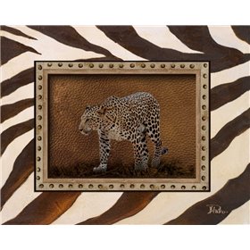 New Zebra Inspiration II