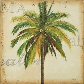 La Palma I