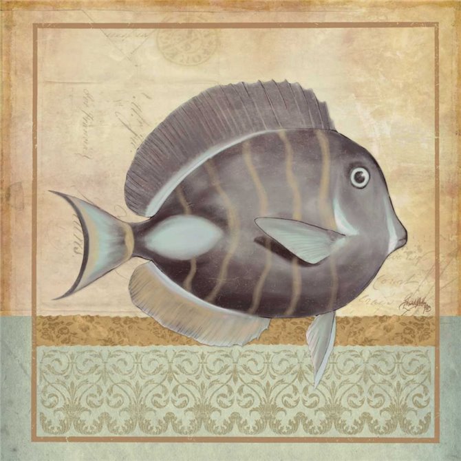 Vintage Fish II - Cuadrostock