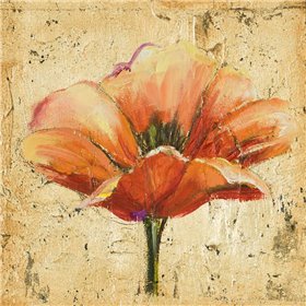 Cuadro para dormitorio - Poppy III - Cuadrostock