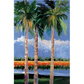 Palm Coast - Cuadrostock