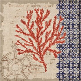 Burlap Coral II - Cuadrostock