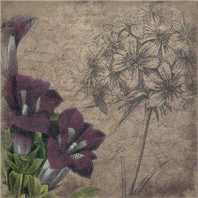 Floral outline1