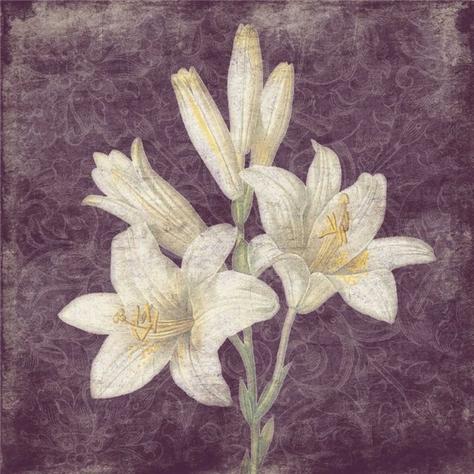 Purple Flower
