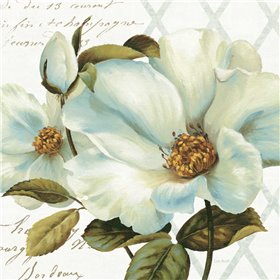 White Floral Bliss II - Cuadrostock