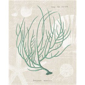 Cuadro para dormitorio - Gorgonia Miniacea on Linen Sea Foam - Cuadrostock
