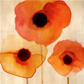 Cuadro para dormitorio - Orange Poppies I - Cuadrostock