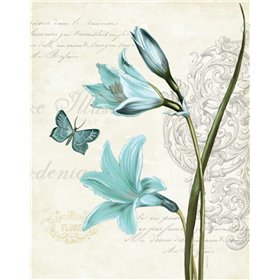Lila Bleu II