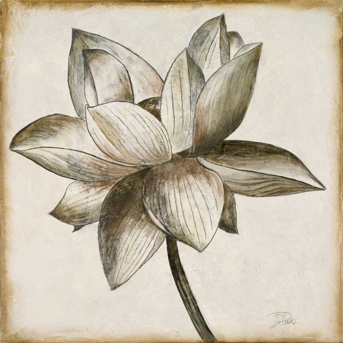 Sepia Lotus I