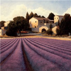 Lavender Fields I - Cuadrostock