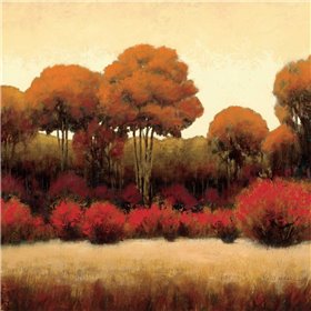 Autumn Forest II - Cuadrostock