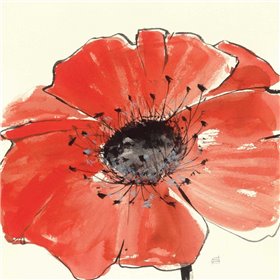 Spring Poppy IV