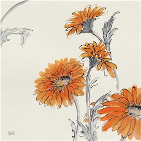 Orange Gerbera I - Cuadrostock