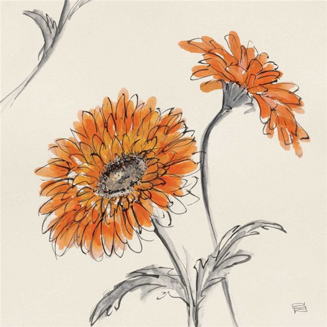 Orange Gerbera II - Cuadrostock