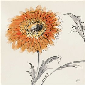 Orange Gerbera III - Cuadrostock