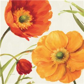 Poppies Melody II - Cuadrostock