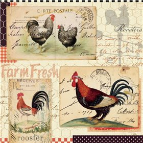 Rooster Farm II - Cuadrostock