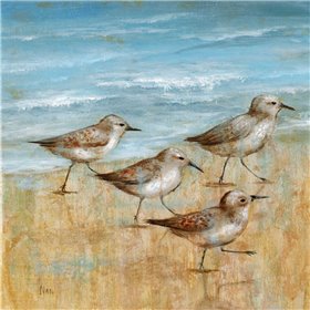 Sandpipers I - Cuadrostock