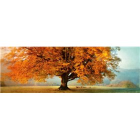 Autumn Emotion - Cuadrostock