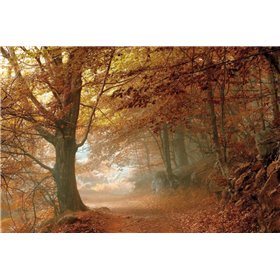 Autumn Dream - Cuadrostock