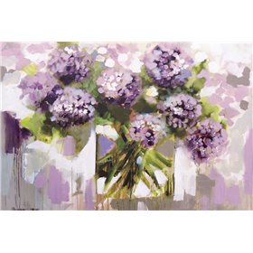 Blush Hydrangea
