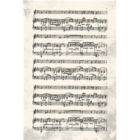 Music Sheet Cream - Cuadrostock