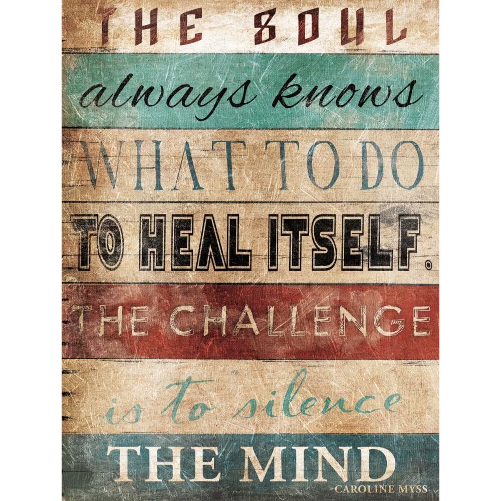 book soul taken book soul taken