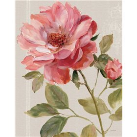 Harmonious Rose Linen - Cuadrostock