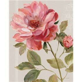 Harmonious Rose Linen
