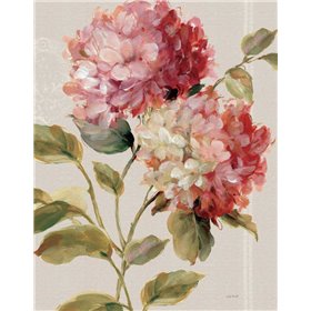 Harmonious Hydrangeas Linen - Cuadrostock