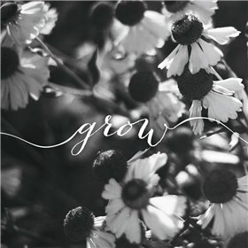 Grow - Cuadrostock