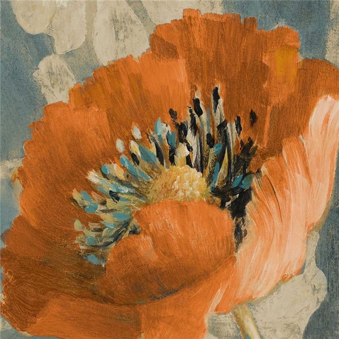 Orange Poppy - Cuadrostock