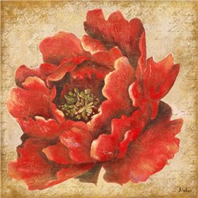 Red Peony on Gold