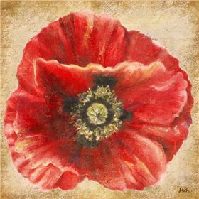 Red Poppy on Gold