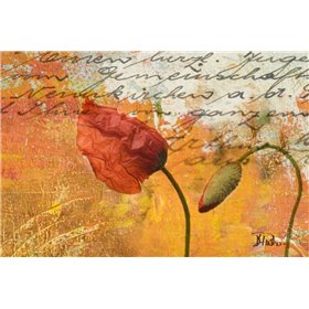 Poppies Composition II