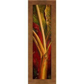Red Plantain