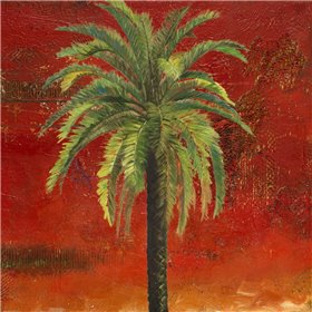 La Palma on Red III