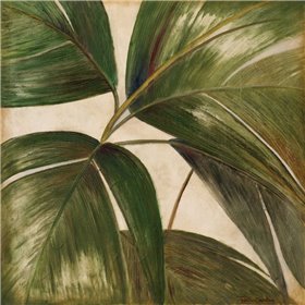 La Palmera III