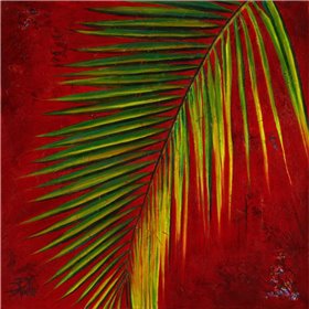 Palmas En Fuego III