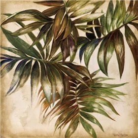 La Palmera I
