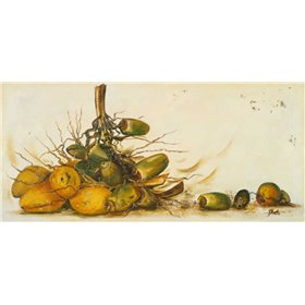 Racimo de Cocos III