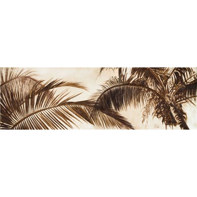 Coconut Palms