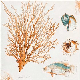 Coastal Teal Coral IV - Cuadrostock